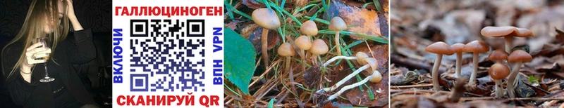 Галлюциногенные грибы MAGIC MUSHROOMS  Купить закладки  Новопавловск 